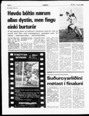 Síða 8
