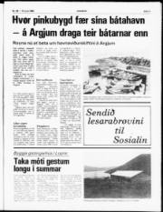 Síða 3