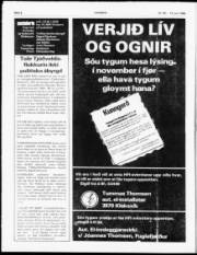 Síða 6