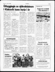 Síða 3