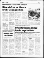 Síða 5