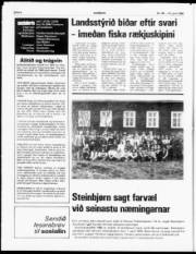 Síða 6