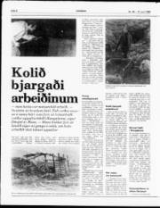 Síða 8