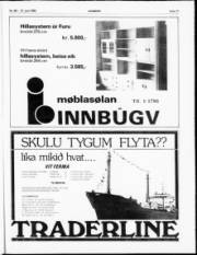 Síða 11