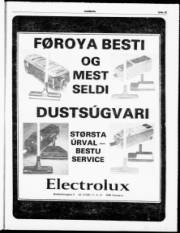 Síða 13