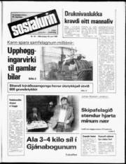 Síða 1