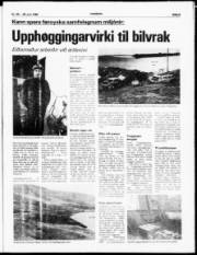 Síða 3