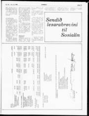 Síða 13
