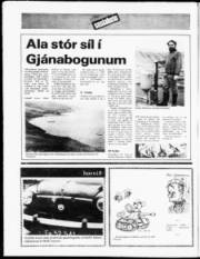 Síða 16