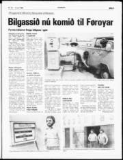Síða 3