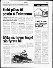 Síða 5