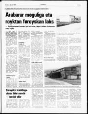 Síða 3