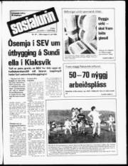 Síða 1