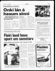 Síða 3