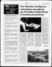 Síða 6