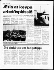 Síða 3