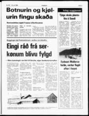 Síða 5