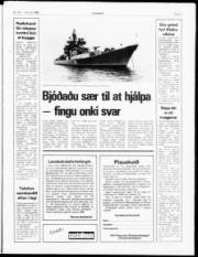 Síða 3
