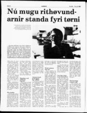 Síða 8