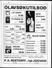 Síða 13