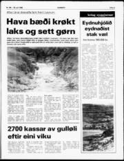 Síða 5