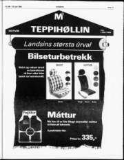 Síða 11