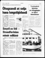 Síða 3