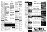 Síða 15