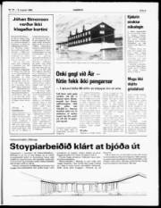 Síða 5