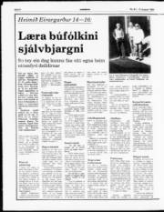 Síða 8
