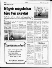 Síða 8