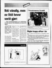 Síða 12