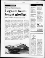 Síða 2