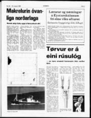 Síða 3