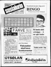 Síða 13