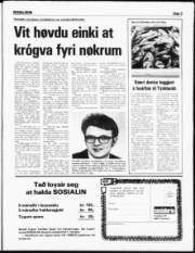 Síða 3