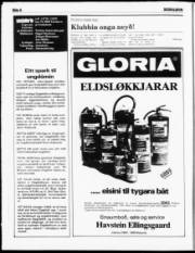 Síða 6