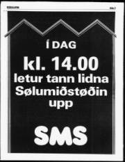 Síða 3
