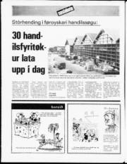 Síða 15
