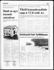 Síða 3