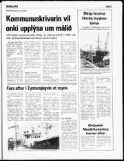 Síða 5