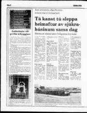 Síða 8
