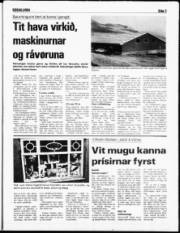 Síða 3