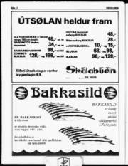 Síða 12