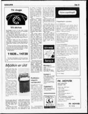 Síða 15
