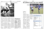 Síða 10