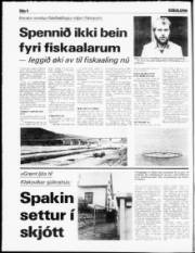 Síða 4