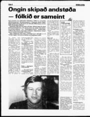 Síða 8