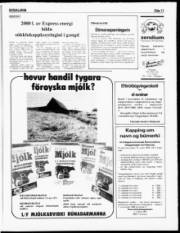Síða 11