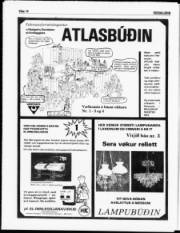 Síða 14